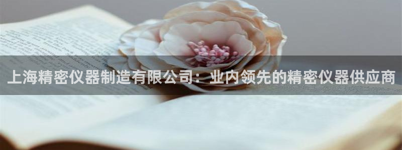 彩神v8手机客户端在哪：上海精密仪器制造有限公司：业内领先的精密仪器供应商