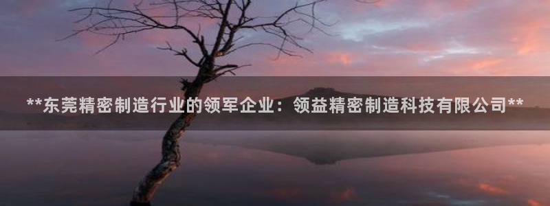 彩神vi官网版：**东莞精密制造行业的领军企业：领益精密制造科技有限公司**