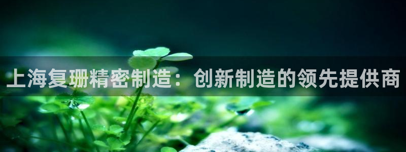 彩神vip购彩：上海复珊精密制造：创新制造的领先提供商