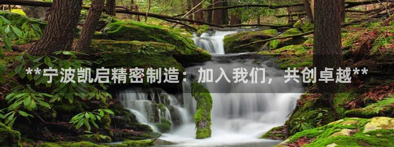 下载彩神通关注码：**宁波凯启精密制造：加入我们，共创卓越**