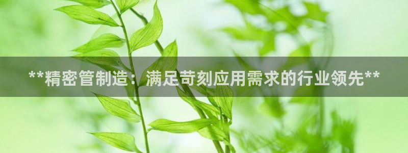 彩神vllⅰ购彩大厅：**精密管制造：满足苛刻应用需求的行业领先**