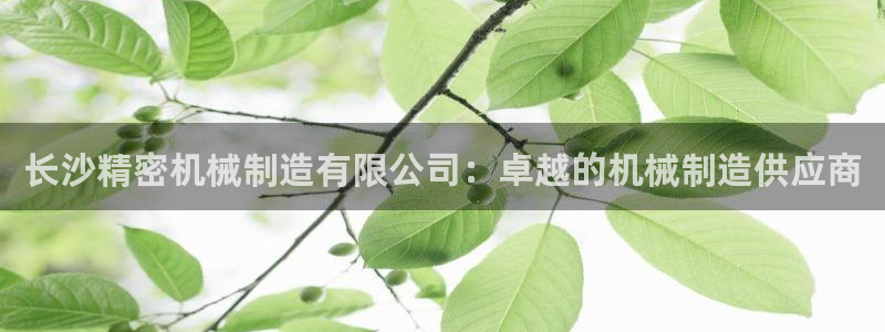 彩神合法吗.是国家认可的吗：长沙精密机械制造有限公司：卓越的机械制造供应商
