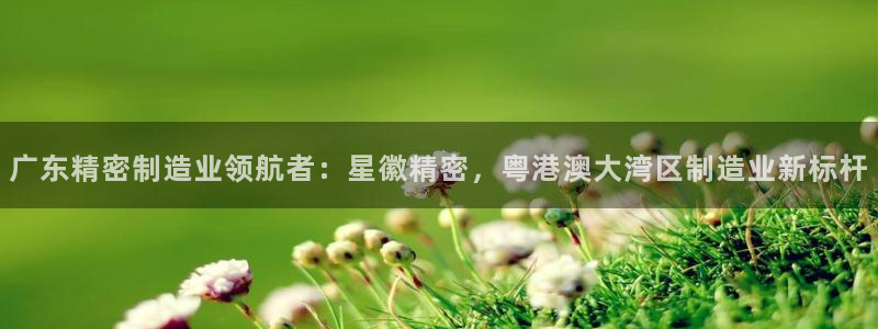 彩神8是正规平台吗是正品吗：广东精密制造业领航者：星徽精密，粤港澳大湾区制造业新标杆