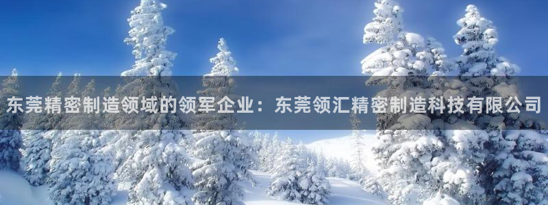 彩神v8购彩大厅登：东莞精密制造领域的领军企业：东莞领汇精密制造科技有限公司