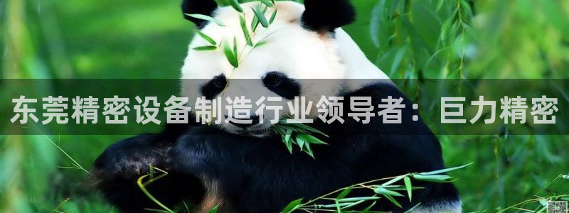 彩神v8几个版本：东莞精密设备制造行业领导者：巨力精密