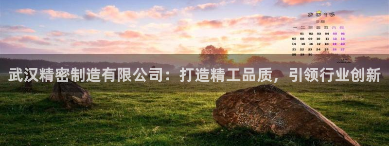 下载彩神乐发V1：武汉精密制造有限公司：打造精工品质，引领行业创新