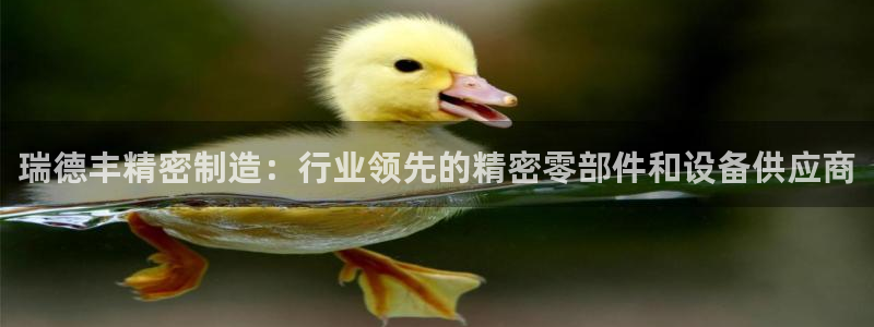 彩神ix能赚钱吗：瑞德丰精密制造：行业领先的精密零部件和设备供应商