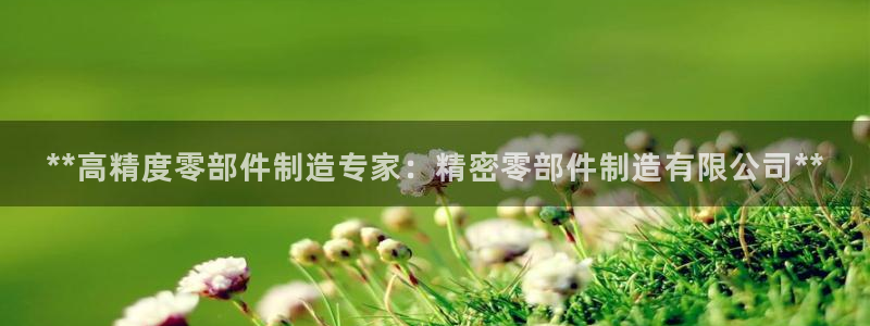 彩神8官网版是正规的吗：**高精度零部件制造专家：精密零部件制造有限公司**