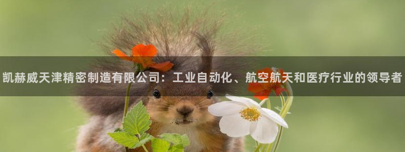 彩神iv是正规平台吗?：凯赫威天津精密制造有限公司：工业自动化、航空航天和医疗行业的领导者