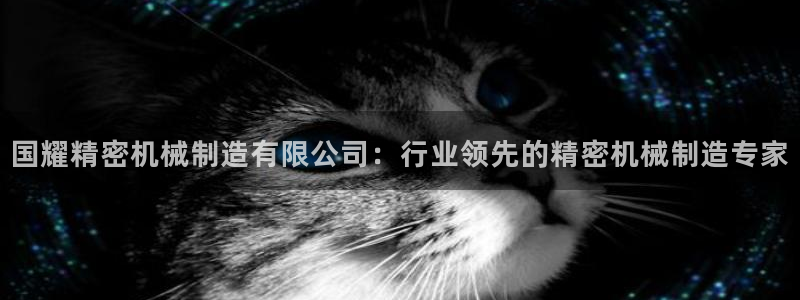 彩神大发官网：国耀精密机械制造有限公司：行业领先的精密机械制造专家
