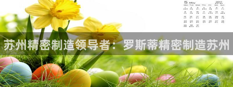 彩神大发云：苏州精密制造领导者：罗斯蒂精密制造苏州