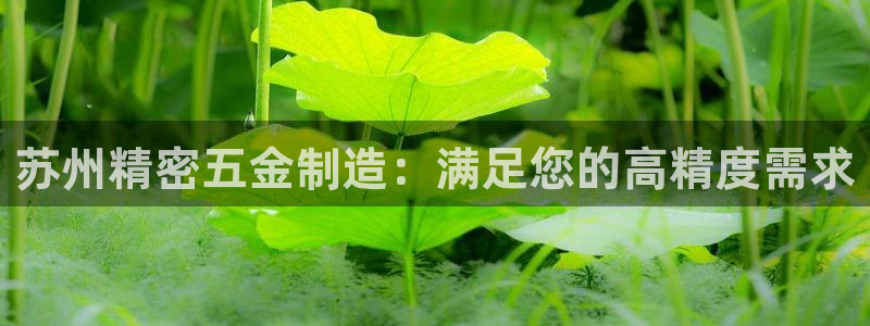 彩神ios下载