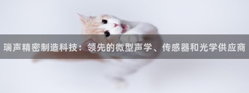 彩神v争霸是啥：瑞声精密制造科技：领先的微型声学、传感器和光学供应商