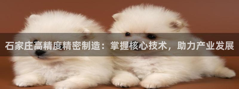 彩神8彩平台官网