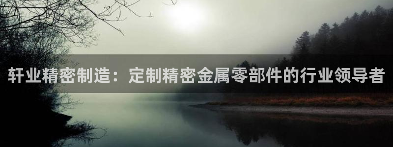 彩神ii官方网：轩业精密制造：定制精密金属零部件的行业领导者