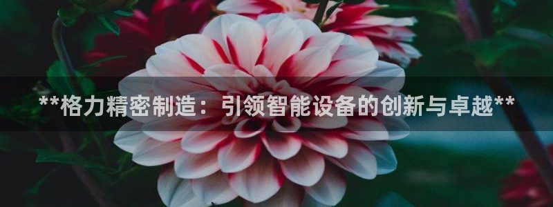 彩神v8官网版：**格力精密制造：引领智能设备的创新与卓越**