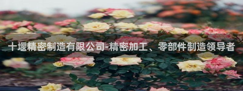 彩神天下专家专栏：十堰精密制造有限公司-精密加工、零部件制造领导者