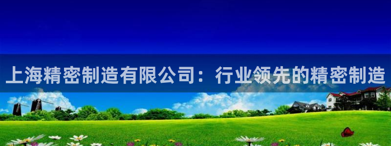 大发彩神官网下载：上海精密制造有限公司：行业领先的精密制造