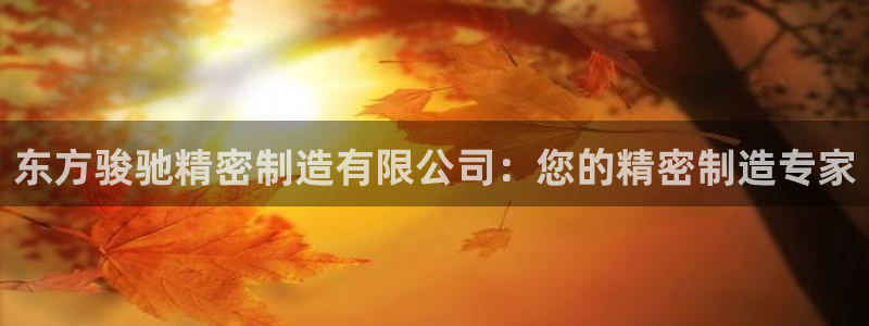 彩神v争霸是啥：东方骏驰精密制造有限公司：您的精密制造专家