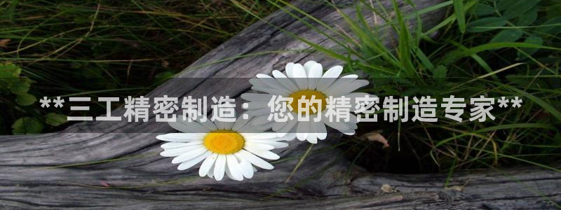 彩神v8下载：**三工精密制造：您的精密制造专家**