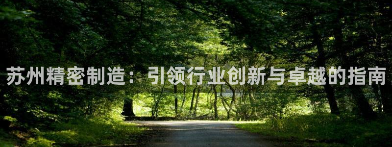 彩神iv真的能赚钱吗：苏州精密制造：引领行业创新与卓越的指南