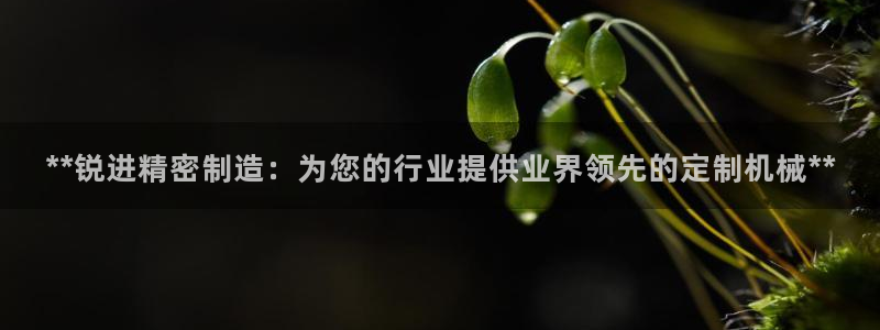 彩神vll首页环球：**锐进精密制造：为您的行业提供业界领先的定制机械**
