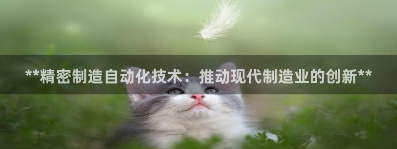 彩神邀请码:00-00-3267：**精密制造自动化技术：推动现代制造业的创新**