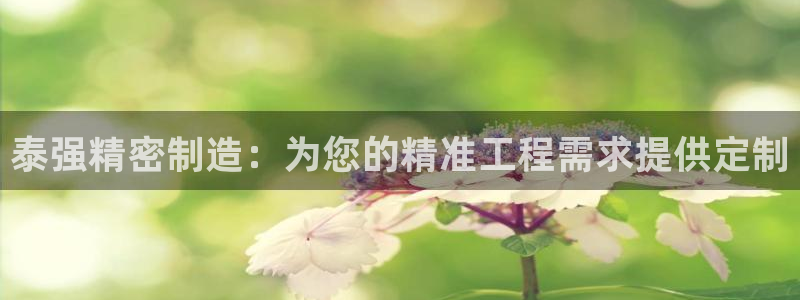 彩神是正规平台吗：泰强精密制造：为您的精准工程需求提供定制