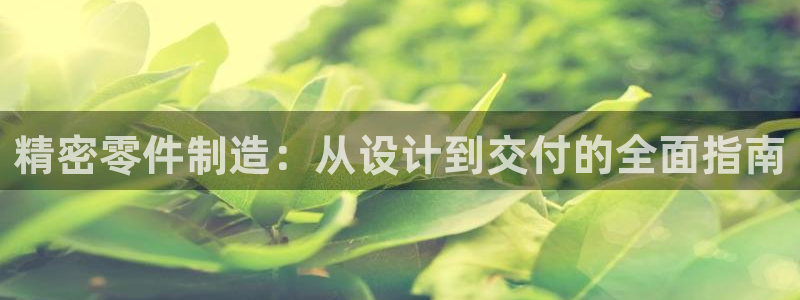 彩神ⅴll用户登录：精密零件制造：从设计到交付的全面指南