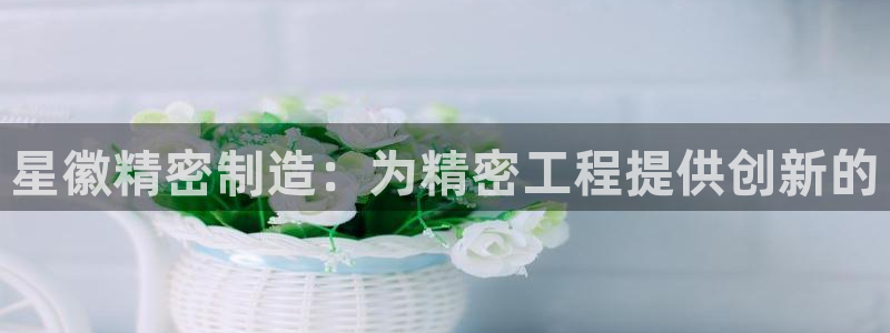 彩神v8客户端：星徽精密制造：为精密工程提供创新的