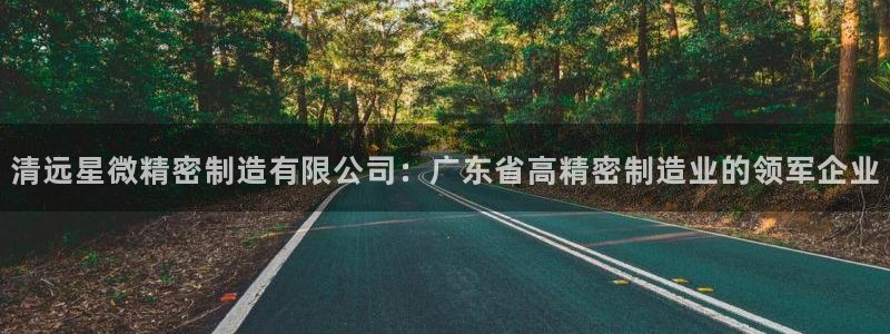 彩神8官网合法吗：清远星微精密制造有限公司：广东省高精密制造业的领军企业