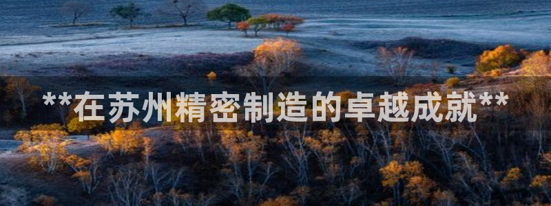 彩神v8是真的挣钱吗：**在苏州精密制造的卓越成就**