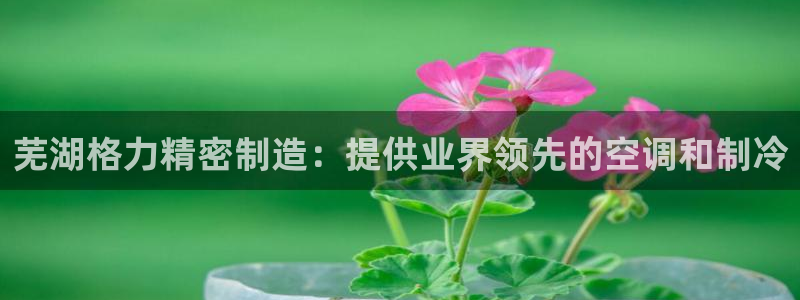 彩神v下载安装：芜湖格力精密制造：提供业界领先的空调和制冷