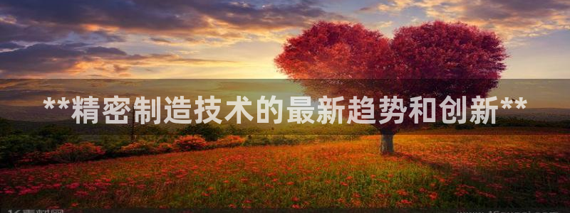 彩神官方登录：**精密制造技术的最新趋势和创新**