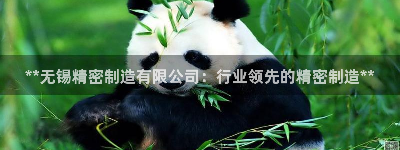 彩神天下专家专栏：**无锡精密制造有限公司：行业领先的精密制造**