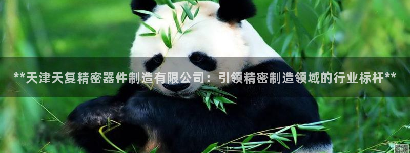 彩神v8平台正规吗：**天津天复精密器件制造有限公司：引领精密制造领域的行业标杆**