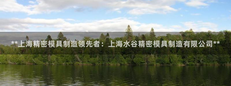 彩神客服电话：**上海精密模具制造领先者：上海水谷精密模具制造有限公司**