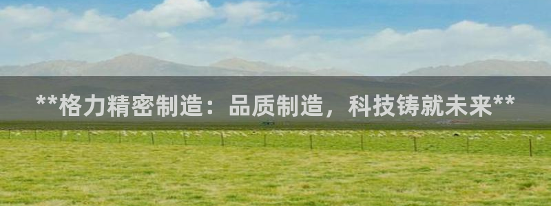 天天赢彩神：**格力精密制造：品质制造，科技铸就未来**