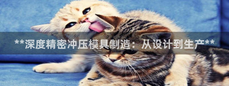 彩神购彩-购彩大厅入口：**深度精密冲压模具制造：从设计到生产**