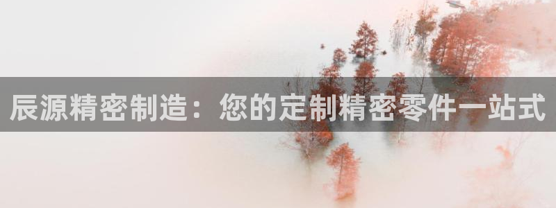 彩神争霸官方登录：辰源精密制造：您的定制精密零件一站式