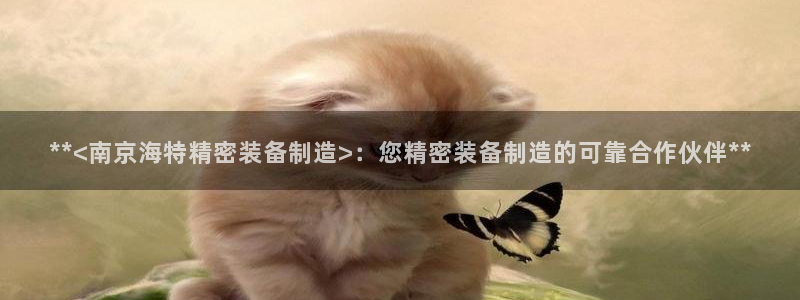 彩神购彩购彩大厅入口v：**<南京海特精密装备制造>：您精密装备制造的可靠合作伙伴**