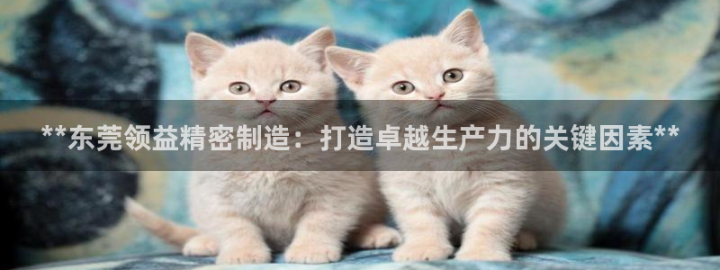 彩神viii官网：**东莞领益精密制造：打造卓越生产力的关键因素**