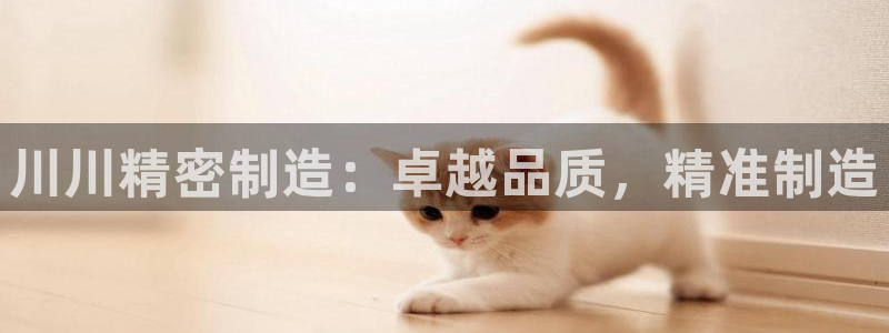 彩神V8平台：川川精密制造：卓越品质，精准制造