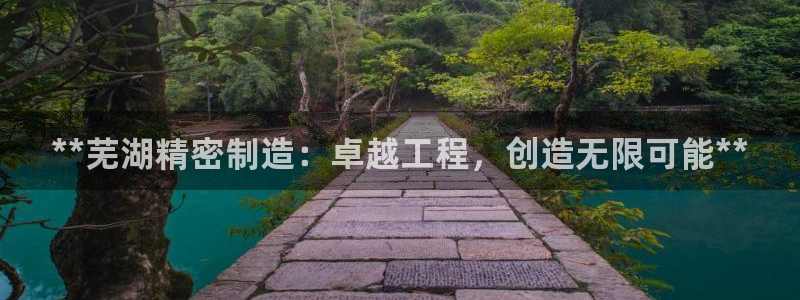 彩神大发三期计划网站：**芜湖精密制造：卓越工程，创造无限可能**