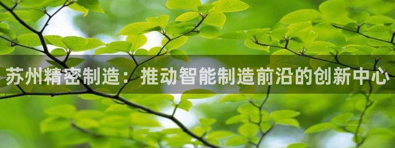 彩神v8app：苏州精密制造：推动智能制造前沿的创新中心