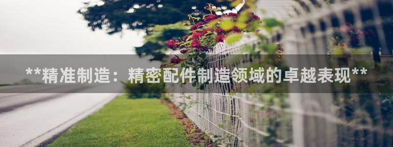 彩神v彩搜狗：**精准制造：精密配件制造领域的卓越表现**