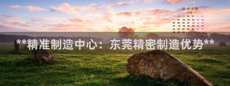 彩神vlll(中国)百度百科：**精准制造中心：东莞精密制造优势**