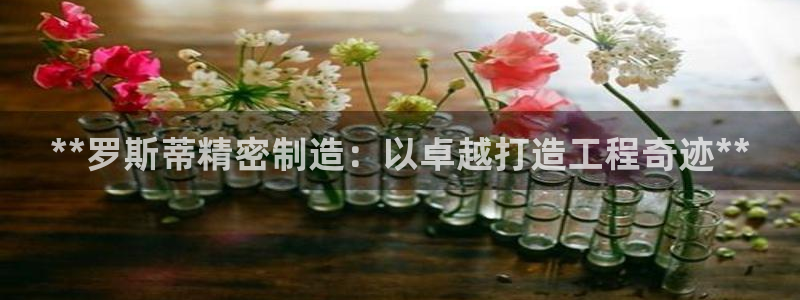彩神8是正规平台吗知乎：**罗斯蒂精密制造：以卓越打造工程奇迹**