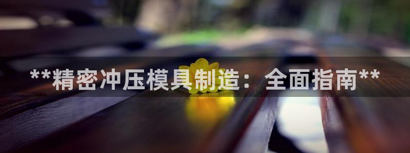 彩神怎么样可以提现：**精密冲压模具制造：全面指南**