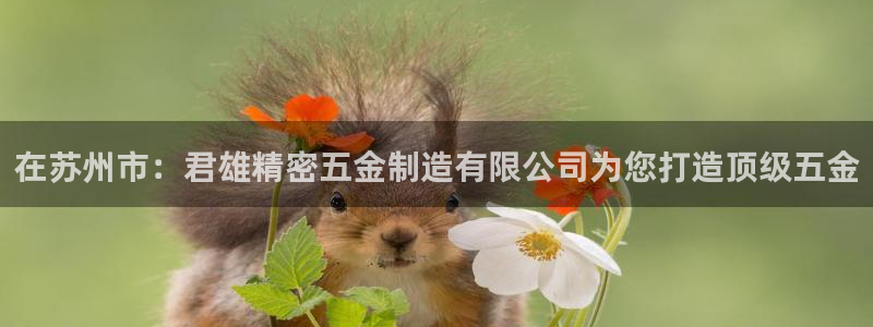 彩神v8是真的挣钱吗：在苏州市：君雄精密五金制造有限公司为您打造顶级五金
